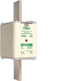 NH fuse NH2 690V aM 250A twin indicator live gripping-lug