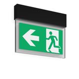 HALYXX, 5,8 W, black, on/off Wall luminaires, L 340 B 40 H 270, SBS, 8