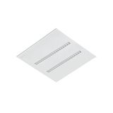 PL INV 625 DA P 38W ML 930 U19 WT LEDV