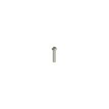 Stainless steel security screws