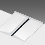 IBIS LED 916 33W CLD WHITE