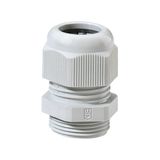 Cable gland, for surface-mounted housing ApG-I g