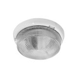 PANLUX Glass for GENTLEMAN lamps