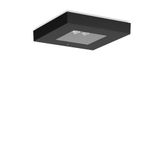 CENTRYXX IP65, 6,5 W, 400 lm, 765, black, on/off Ceiling luminaires, L