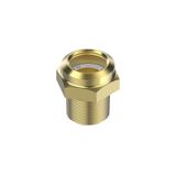 SGP 1/2 RX Sight Glass M/19x4