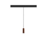 LALU®, pendant light, 48V, Led Base, Mix&Match, 150cm, 8W, 3000K, DALI, bronze