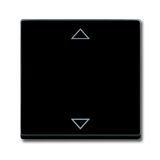 Busch-Timer®, Control covers alpha, Cover plate for Comfort Blind insert, titanium