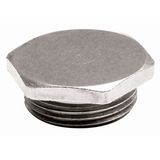 Plug Hexagonal Nickel Plated Brass M63 Metallic Raw color