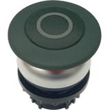 M22-DP-S-X0 Mushroom actuator, RMQ-Titan, Mushroom, momentary, Mushroom black, black, inscribed, Bezel: titanium