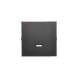 Single button with light indicator box for switches and push buttons, black matt