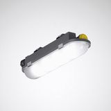 Weather-proof luminaires Nextrema Lens Anthracite 6W 400lm Emergency light Wide (W) IP66 IK04 3 SDCM