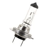 PX26D H7 12V 55W Super White