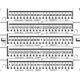Marking tags 1-50 (each 2x)