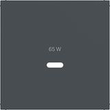 Central plate for USB-C socket, A.x/C.x, anthracite