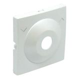 C.PLAT F/KEY LOCK PUSH-BUT/TWO-WAY SWITCH ICE