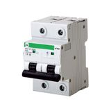 Miniature circuit breaker FB3-63 2P C 13A 10kA EVO