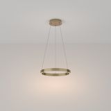 Modern Rim Pendant lamp Brass