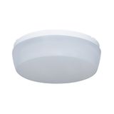 LINEA ROUND 3600/840 DALI M1h LED interior light 3600 lm 24W IP54