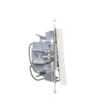 "Bell" push button with LED indicator light, (module), 10AX, quick connection, anthracite, metalic