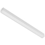 MODUS SBL3000, 1185mm, white,   prizmatic cover, LED 830, 500mA, switch