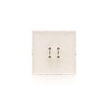 Double button for switches and push buttons, matt aluminum