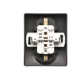 Double 2-pole switch, 16AX, graphite mat