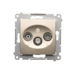 R-TV-SAT final aerial socket, atten.: 1dB, Gold matt, metalic