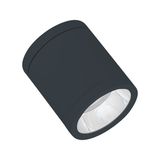 DL SURFACE DN90P 15W83060DIP65DG LEDV