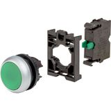 Pushbutton, RMQ-Titan, flush, momentary, 1 NO, green, Blister pack for hanging
