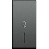 Cover with lens and light icon 1M, anthracite