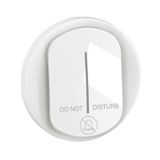 INDICATOR LAMP ROCKER WHITE