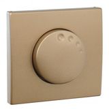 COV PLAT F/DIMMER/TWO-WAY SWITCH CHAMPAGNE