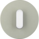 Cover plate toggle f.rot. switch/spring-return push-B,R.cl,steel/wh,metal finish
