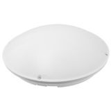 MITO, LED, 12W, 4000K, 1200lm, white-polypropylene, cover mat-polycarbonate, IP44, IK10