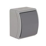 VW-7 Koala Universal/Two-Way Switch / without printed pictogram / surface mounted IP44 gray/graphite VW 157-08