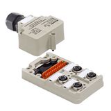Hood version Ex, M12, 30 V, A-coded, LED: No, LED initiator: No, Wiring type: 2-wire