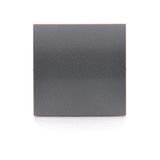 Single button for switches and push buttons, anthracite, metalic
