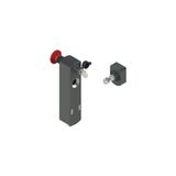 NS series safety locking switch, with actuator