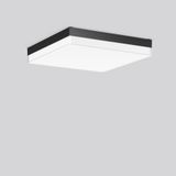 FLAT SLIM square, 29...42 W, 2900...4500 lm, 830, 840, anthracite, DAL