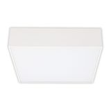 LED lamp Mold S25, 25W, 3000K, IP20, CRI90, white