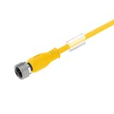 Sensor/actuator line, M12, Number of poles : 5, 8 m, Female socket, straight, Shielded: No, LED: No, Sheath material: PUR, Halogen: No