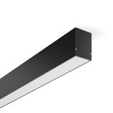 Less is more 50, 34 W, 3850 lm, 830, black, on/off Ceiling and wall lu