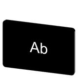 Labeling plate 17.5 x 27 mm, label black, labeling: Ab
