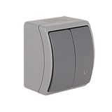 VW-2L Koala Two-Circuit Switch with illumination surface mounted IP44 gray/graphite VW 152-58
