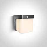 ANTHRACITE WALL SENSOR 12W WW IP54 230V