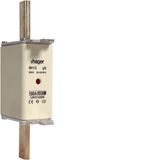 NH fuse NH1 gG 690V 100A with twin indicator and live gripping lug