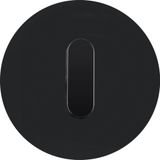 Cover plate toggle f. rot. switch/spring-return push-b., R.classic, glass black