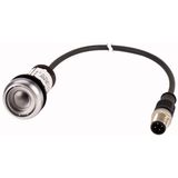 C22-D-X-K10-P1 Pushbutton, Flat, momentary, 1 N/O, Cable (black) with M12A plug, 4 pole, 0.2 m, Without button plate, Bezel: titanium