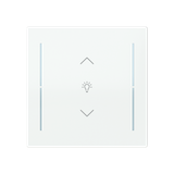LFDW/A.1.70.1-44G Cover plate with legend with Symbol "dimming" studio white - Trevion®
