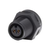 Panel socket without cover nut M12, 2-pin, IP67, soldering external mounting